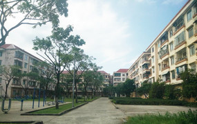 Có nhà riêng vẫn 'chiếm' chung cư Nhà nước: Đà Nẵng sẽ rà soát, dùng biện pháp mạnh