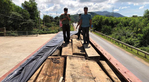 Hai xe tải gắn biển số giả chở gỗ lậu đi tiêu thụ ở Đắk Lắk