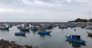 Ảnh: Cư dân đảo Phú Quý hối hả đón bão mạnh nhất sau 12 năm