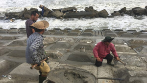 Ảnh: Quảng Nam dựng ‘tường thành’ ngăn sóng biển tấn công đất liền