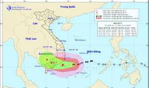 Bão số 9 giảm cấp, hướng vào khu vực từ Bình Thuận đến Bà Rịa - Vũng Tàu