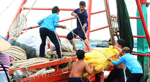 Ảnh: Ngư dân Bà Rịa - Vũng Tàu tốc lực di tản tài sản, neo đậu thuyền bè trước giờ bão số 9 đổ bộ