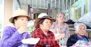 Chưa dứt nỗi đau sau bão số 8, dân Khánh Hòa lại nơm nớp đương đầu với bão số 9