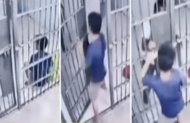 Tù nhân lừa quản giáo có rắn trong phòng giam để vượt ngục