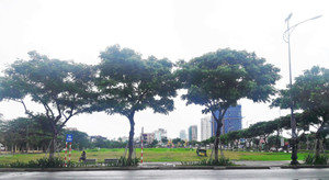 Đà Nẵng xem xét, đấu giá lại các lô đất vừa hủy kết quả