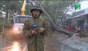 Clip: Bão số 9 quần thảo TP.HCM, quật đổ cây, tốc mái nhà