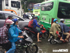 TP.HCM: Trường học tiếp tục ngưng mọi hoạt động trong chiều và tối 26/11