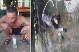 Xác định danh tính 5 thanh niên giết khỉ dã man rồi phát trực tiếp lên Facebook