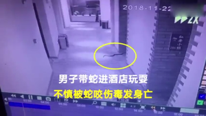 Clip: Dùng rắn độc ép phụ nữ quan hệ, gã đàn ông bị rắn cắn chết