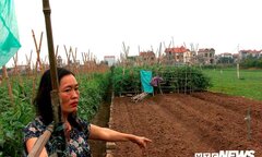 Chi 250 triệu đồng mua hơn 1.400m2 đất ruộng, sau 6 năm mới biết bị lừa
