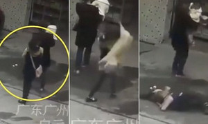 Đi trên phố bị chó rơi trúng đầu, liệt từ cổ trở xuống