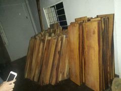 Theo dõi xe ô tô vận chuyển gỗ, lòi ra hàng chục phách gỗ cất trữ trong nhà máy thủy điện