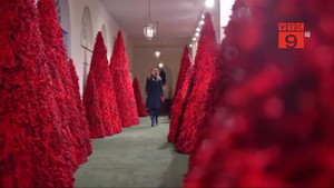 Trang trí cây thông Noel với màu 'đáng sợ', Đệ nhất phu nhân Mỹ hứng chỉ trích