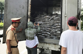 Bắt giữ xe tải chở 3,5 tấn cá thải nước bốc mùi hôi thối trên đường Đà Nẵng