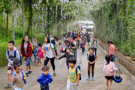 Video: Trường học đặc biệt trên đồi, không áp lực điểm số, không bài tập về nhà