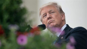 Tổng thống Trump bị 'soi' vì viết sai số liệu trên Twitter