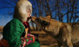 Nuôi 8 con sói, cô gái xinh đẹp bị 3 bạn trai chia tay