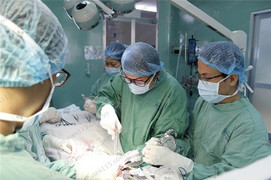 Mơ thấy người khác quan hệ tình dục, người đàn ông tự làm gãy 'của quý'