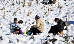 Du khách nườm nượp đổ về Sa Pa chờ băng tuyết