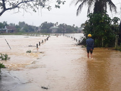 2 người chết, hàng nghìn nhà dân bị ngập do mưa lũ ở miền Trung