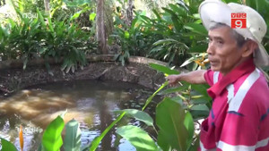 Kỳ lạ ao nước trăm tuổi sôi sùng sục ở Vĩnh Long