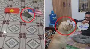 Clip: Xem chó, rùa tiên tri kết quả trận chung kết lượt đi AFF Cup 2018