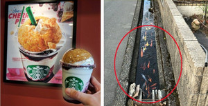 Loạt hình ảnh chứng minh Nhật Bản chẳng giống quốc gia nào trên thế giới