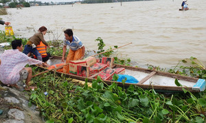 Mưa lớn ngập lụt ở Quảng Nam: 4 người chết, 17.600 hộ dân chìm trong biển nước