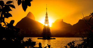 Chiêm ngưỡng những cây thông Noel độc, đẹp trên thế giới