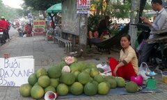 Bưởi da xanh, cam sành giá bèo đồng loạt 'xuống đường' ở Sài Gòn