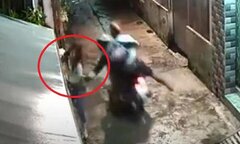 Clip: Cướp giật phăng túi xách của cô gái đi bộ trong ngõ