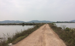 Người phụ nữ bán cá bị sát hại ở Bắc Giang: Nghi phạm là bạn thân của nạn nhân