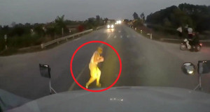 Clip: Cụ ông sang đường như trong sân nhà và cú phanh thần thánh của container