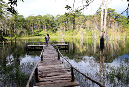 Tháo dỡ phim trường 'chui' tại di tích thắng cảnh quốc gia ở Đà Lạt