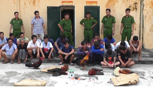 Bắt 21 người tụ tập đánh bạc, đá gà tại An Giang