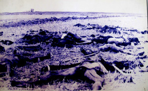 Cô bé bị bắn vỡ sọ, thủng ngực, thoi thóp 12 ngày giữa cánh đồng xác chết