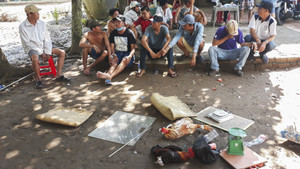 Liên tiếp triệt phá 2 tụ điểm đá gà ăn tiền tại Vĩnh Long