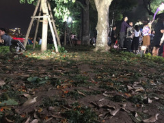 Video: Vườn hoa ở Hà Nội bị giẫm nát sau lễ đón năm mới 2019