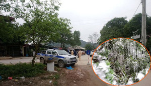 Thực hư thông tin Lạng Sơn cấm ô tô lên đỉnh Mẫu Sơn