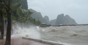 Việt Nam đón cơn bão số 1 trong ngày đầu năm mới 2019