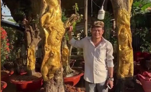 Kỳ lạ thú chơi dát vàng lên thân cây sống của nông dân miền Tây