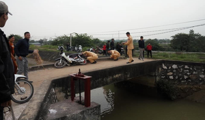 Đi xe máy qua cầu, người phụ nữ rơi xuống kênh chết đuối