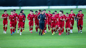 Tái đấu Iraq trận mở màn Asian Cup 2019, ĐT Việt Nam đầy tự tin