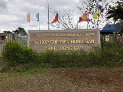 Một công nhân bị rơi từ mái nhà xuống đất thiệt mạng