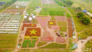 Video: Cận cảnh chiếc cúp vô địch khổng lồ làm từ hoa cổ vũ ĐT Việt Nam