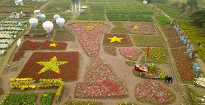 Ảnh: Chiếp cúp vô địch khổng lồ kết từ 30.000 cây hoa cổ vũ tuyển Việt Nam tại Asian Cup 2019