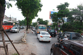 Di chuyển gần 500 cây xanh để mở rộng đường Láng: Hàng xà cừ sẽ ra sao?