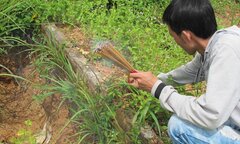 Những chuyện trộm xác ly kỳ ở nghĩa địa toàn tội nhân nổi tiếng