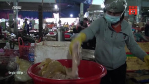 Clip: Kinh hãi thịt, nội tạng thối được gian thương tuồn ra thị trường