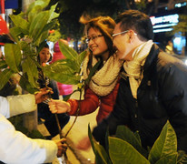 Hiểu sao cho đúng về tục hái lộc đầu xuân?